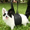/product-detail/nylon-lift-and-lead-3-in-1-dog-harness-60571486614.html