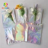 Makeup Brush Package Plastic Zipper Bag Wholesale / Private Label Synthetic Eyelashes Holographic Packaging Pouches