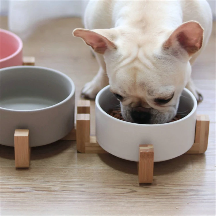 custom dog water bowl