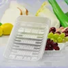 Best quality hot selling vegetable food use plastic serving tray