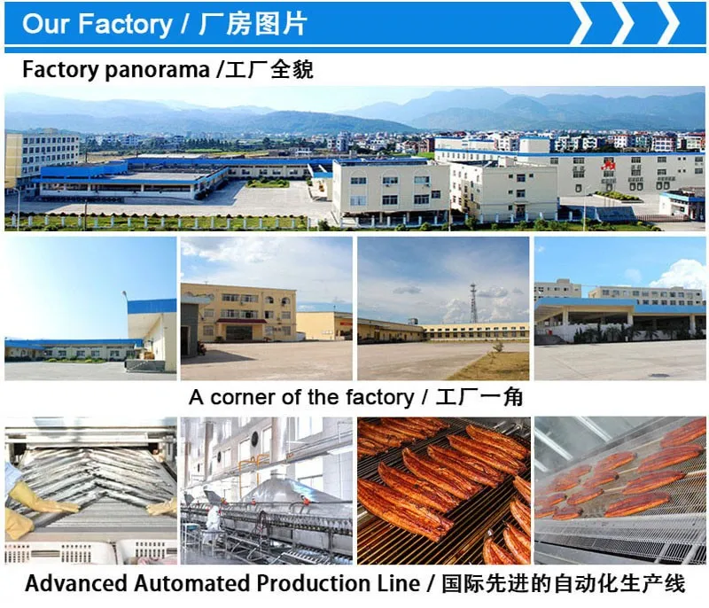 OEM -excellent quality Froze Roasted Eel from China