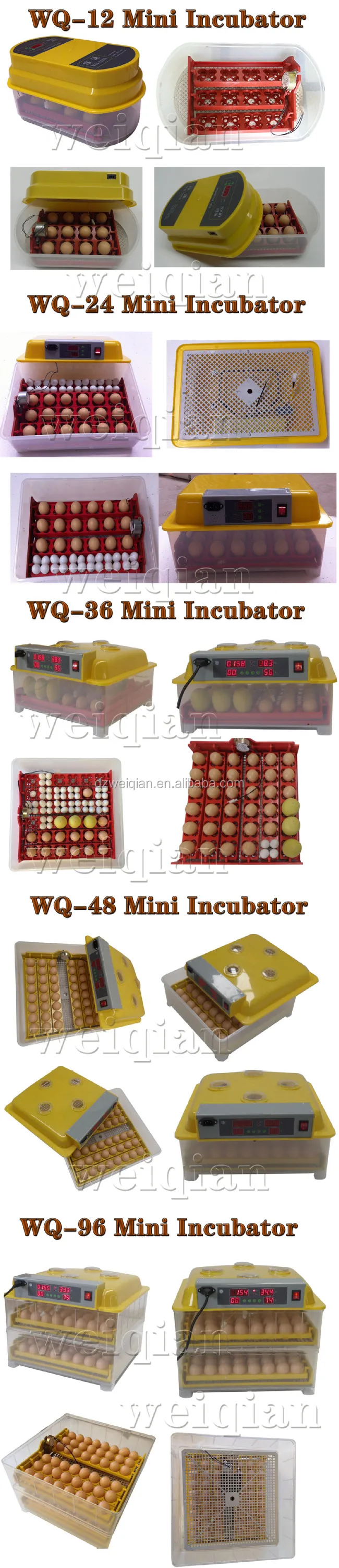 Full Automatic Egg Incubator Price For Sale,Weiqian Mini ...
