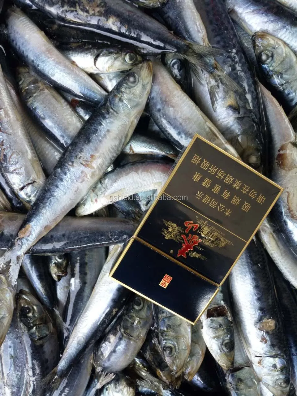 Cheap Price Sea Frozen Sardine Fish Small Size Sardinella Longiceps
