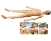Advanced Combination Nursing Human Model