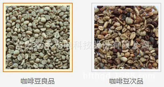 coffee beans color sorter