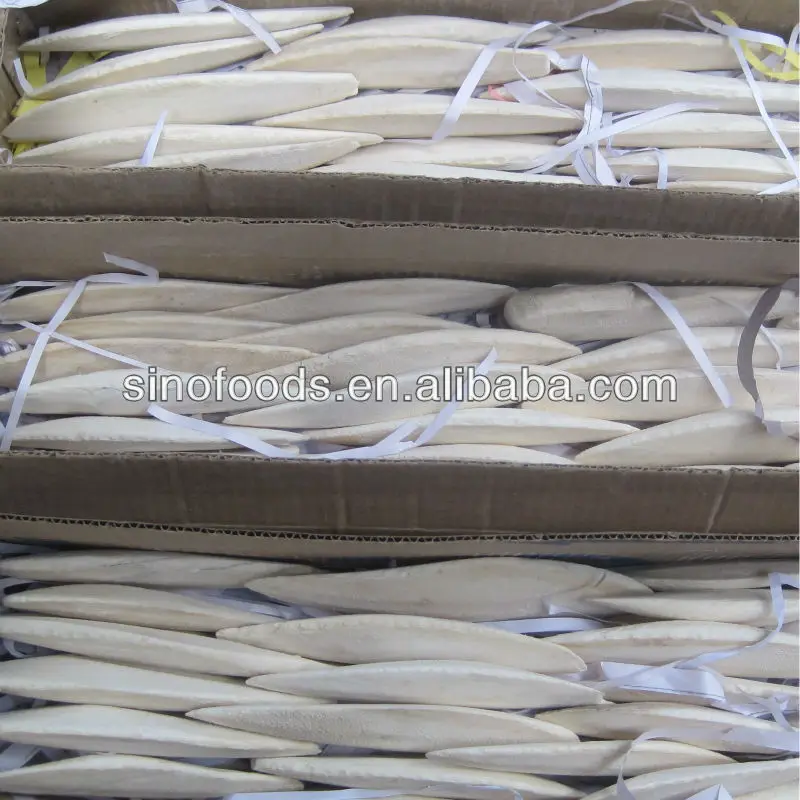 cuttlefishbones 600-600.jpg