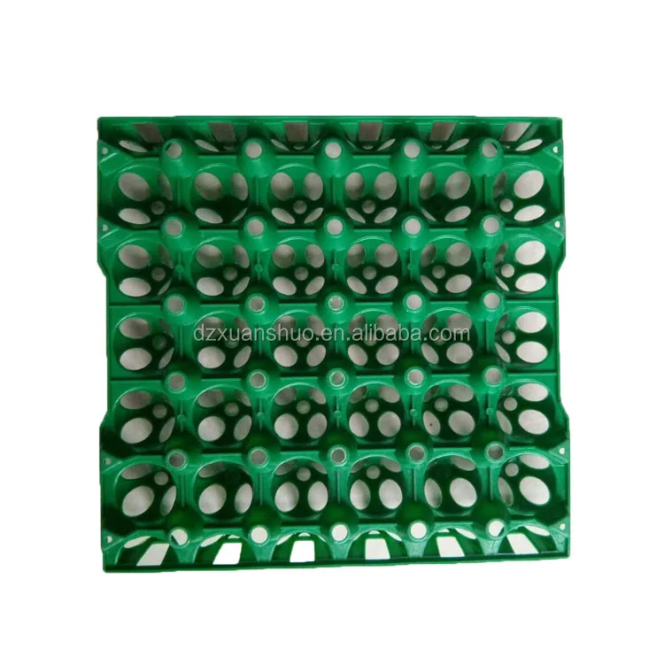 egg tray 1.jpg