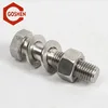 Stainless steel din933 hex bolt with nut and washer