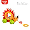 Toddler Preschool String Pull Along Hedgehog Beads Rolling Wooden Toy