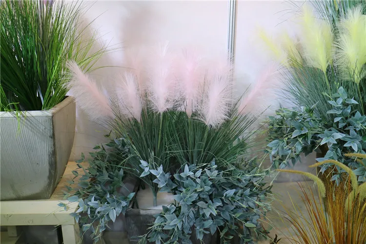 pampas grass (17).jpg