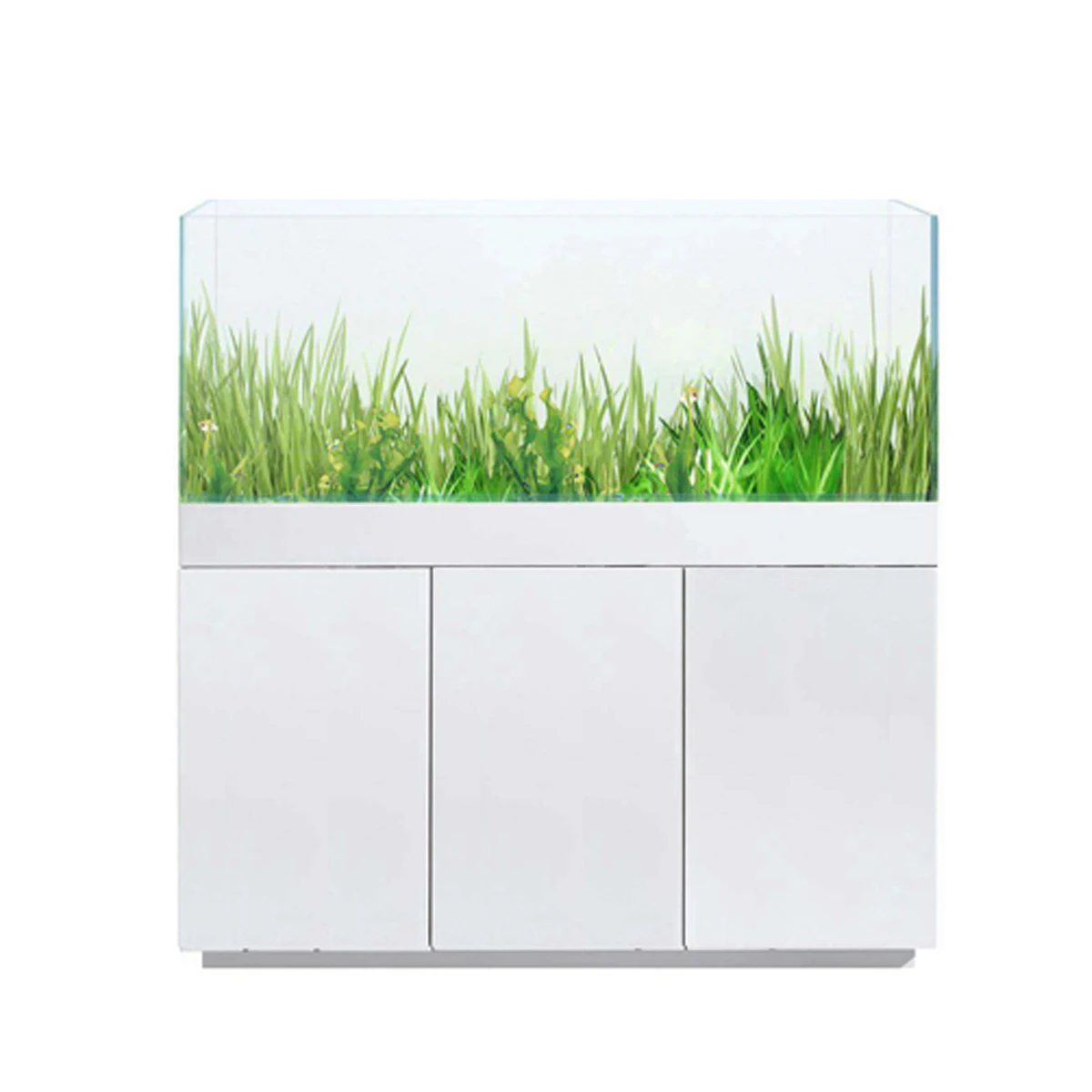 
ecosystem fish living fresh water aquarium fish tank 