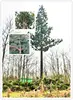 /product-detail/telecom-monopole-pine-tree-tower-china-manufacturers-1821147726.html