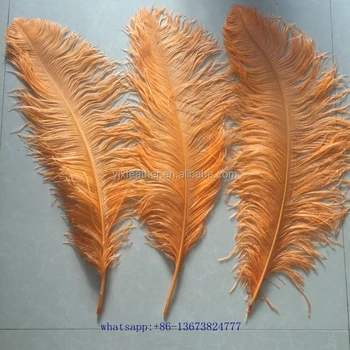 ostrich plumes wholesale