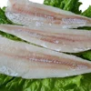 Frozen boneless fish of cod fillet bulk package I.Q.F.