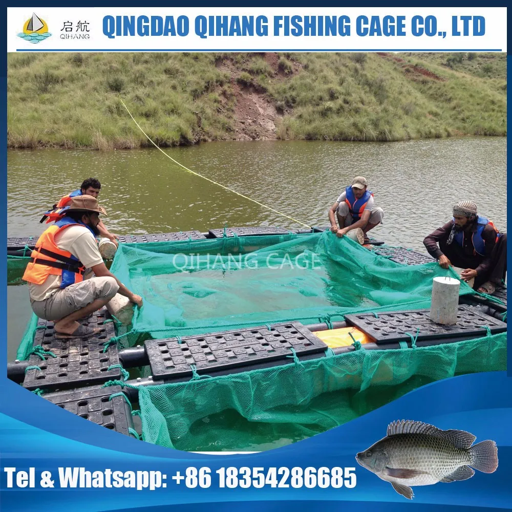 Tilapia Farm Fingerlings Farming Cage With Pe Net In Lake Harvest Buy