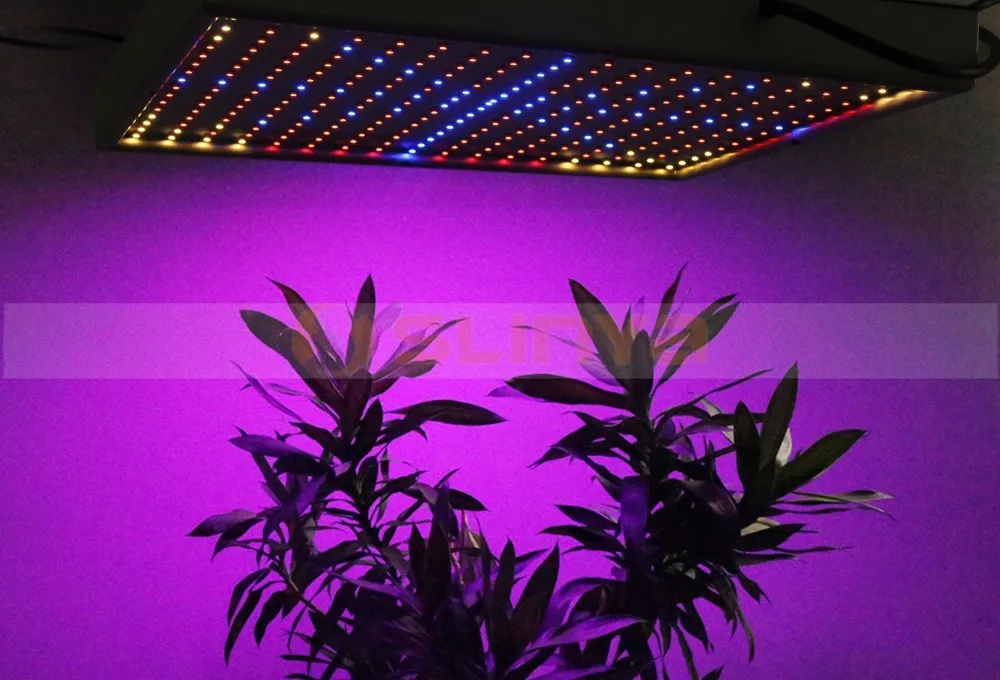 светильники для марихуаны