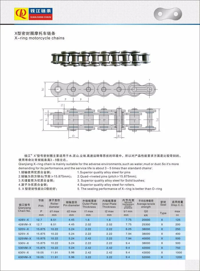 X-X-ring motorcycle chains.jpg