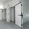 Cold atomic collision cold room fan hinged freezer door for cold room