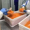 2018 New Season Tobiko Fish Eggs for Sushi Roll