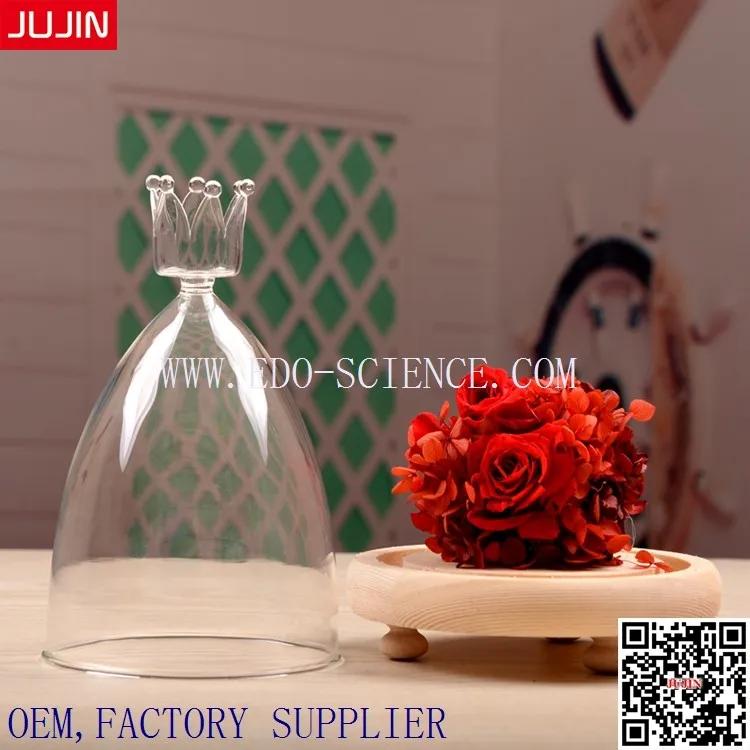 Glass Cover Decotration Glass Vase (28)
