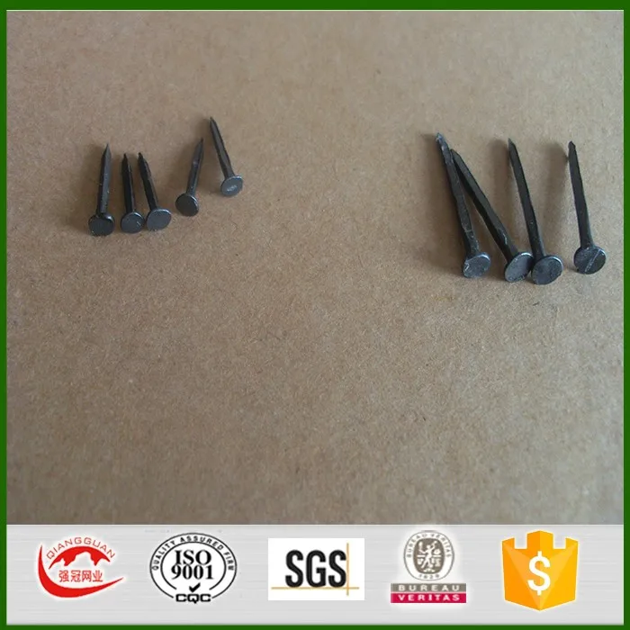 3/4" Fine Blue Shoe Tack Nails,Five Star Brand Buy Blue Shoe Nail