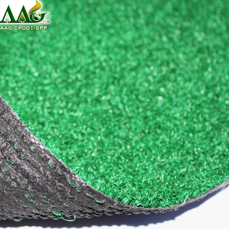 AAG-CP001-2PP-10
