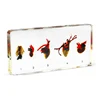 Factory Price Hearts Dissection Specimen Biological Science Model Display Learning Aids