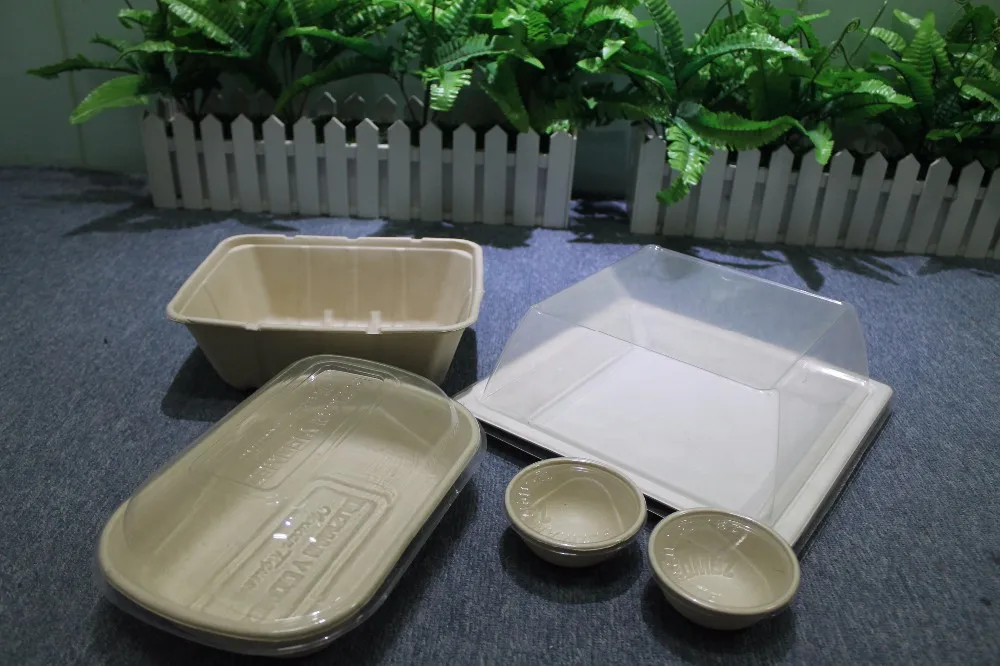 Pla Eco Friendly Biodegradable Disposable Food Packaging - Buy Food ...