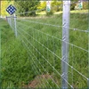 wholesale galvanized cattle fence/wire fencing for cattle fence/wire mesh cattle fence post