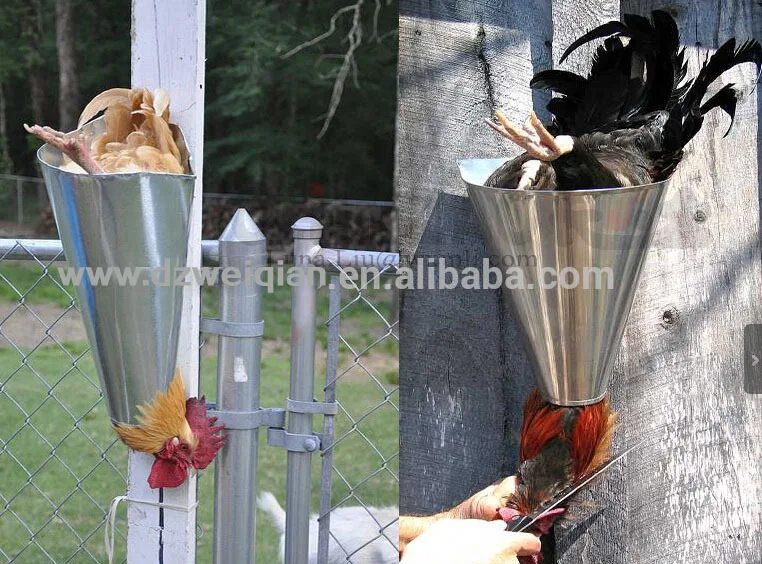 Poultry Killing Cone/kill Cone/chicken Killing Cones Buy Killing
