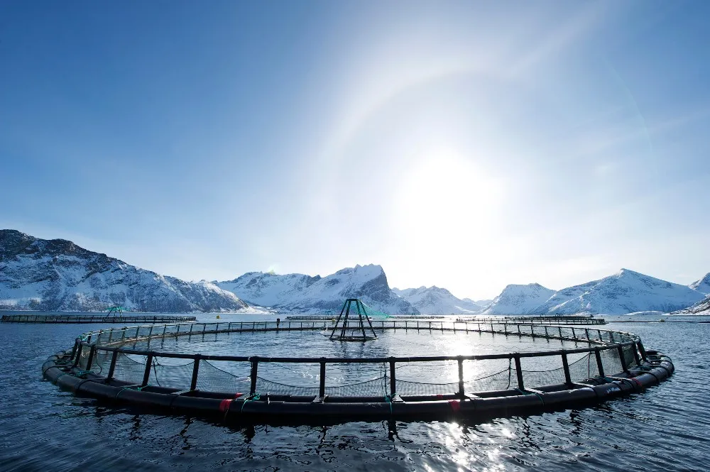 floating fish farming cage feeding net hdpe bracket in open sea