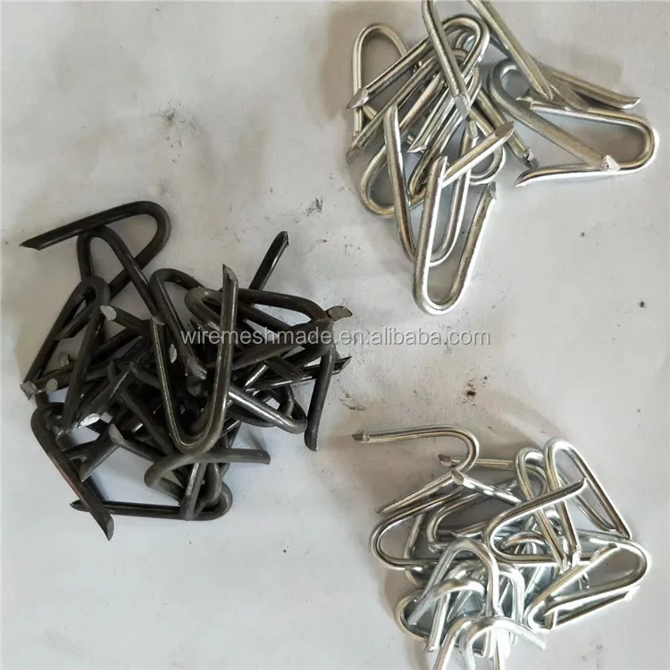 Galvanized U Type Nail Used With Barbed Wire Buy U Type Nail