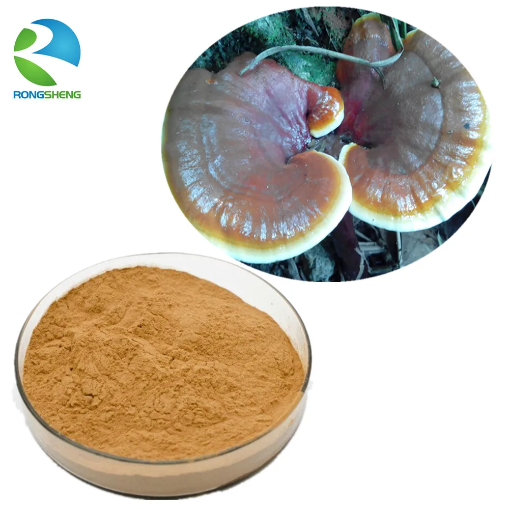 Natural ganoderma spore способ применения