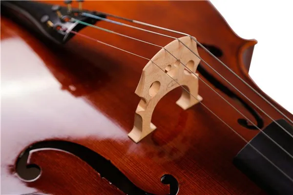 Cello online to buy
