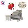Leading Litchi Processing Machine 2-3t/h Lychee Fruit Peeler