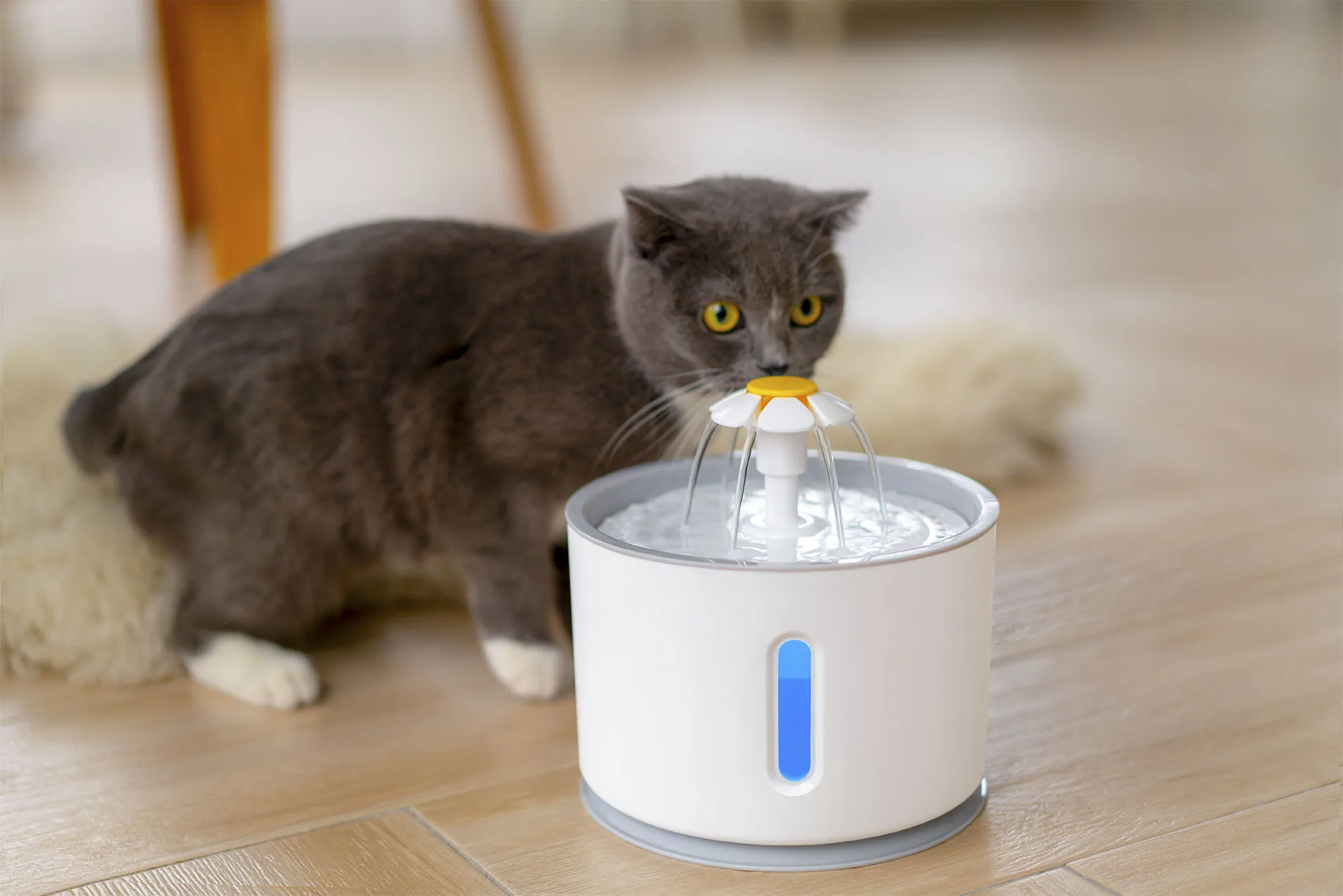 2l Pet Drinking Fountain Super Quiet Healthy And Hygienic Automatic