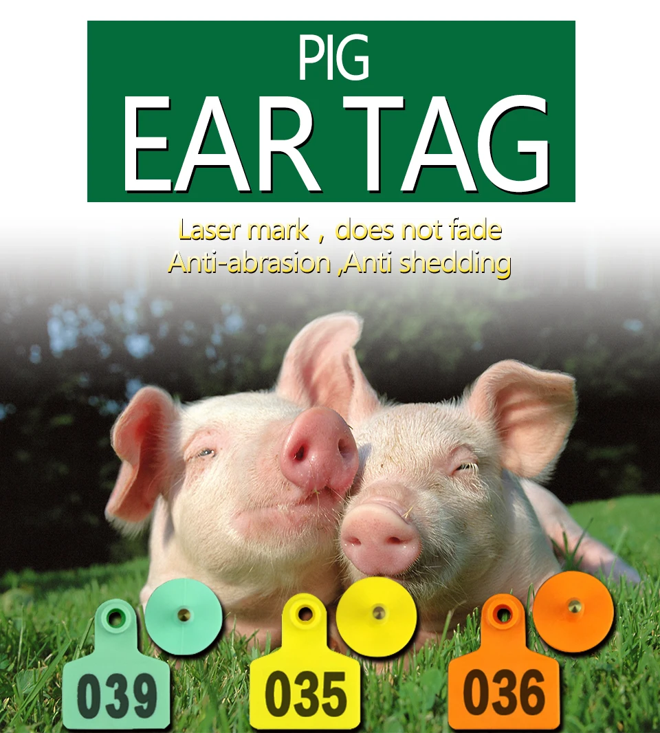 100Set Plastic Pig Ear Tag High Quality Hog Pig Piglet Swine Sow Ear Tag Animal Livestock