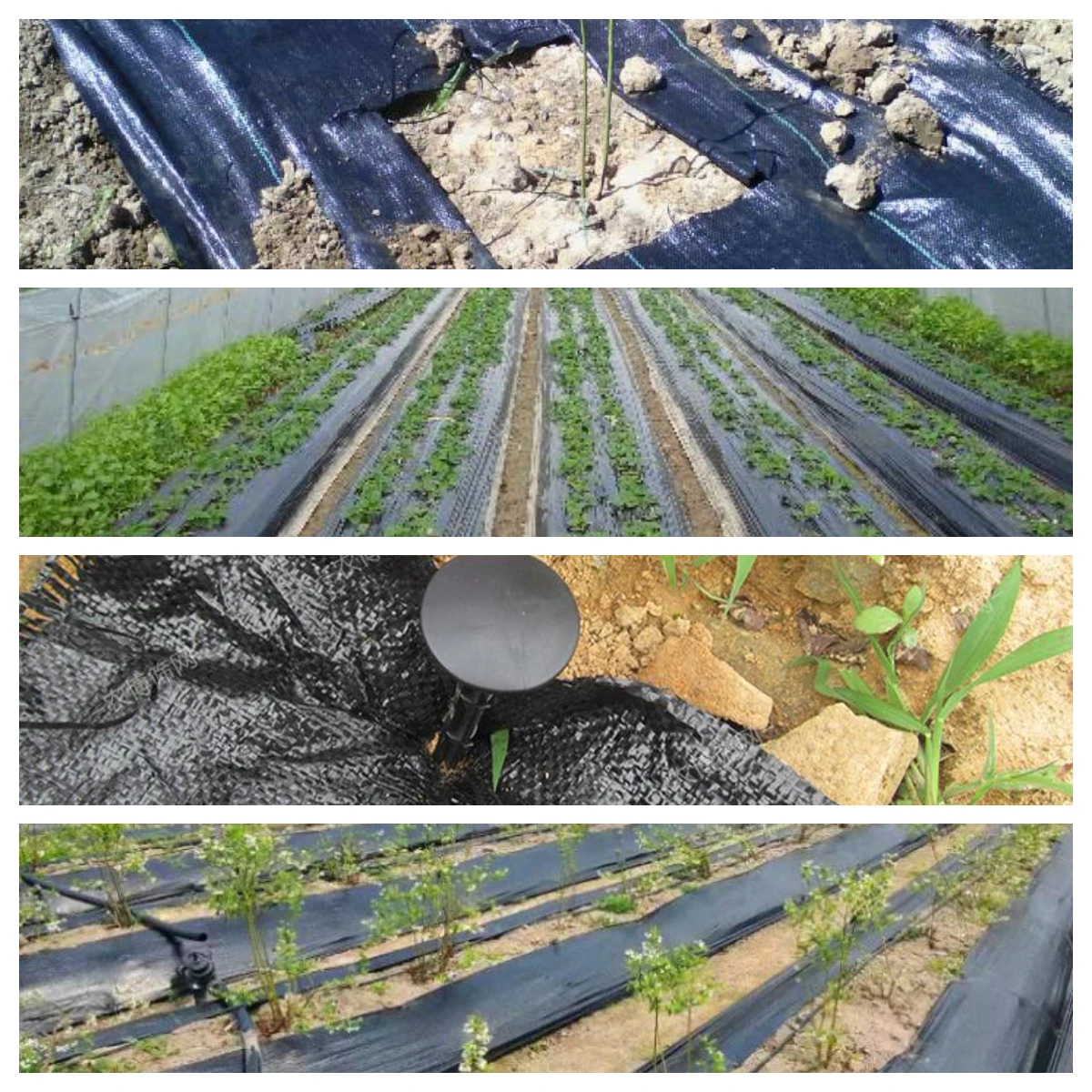 Convenient and Eco-friendly Plastic Weed Mat for stop grass growing