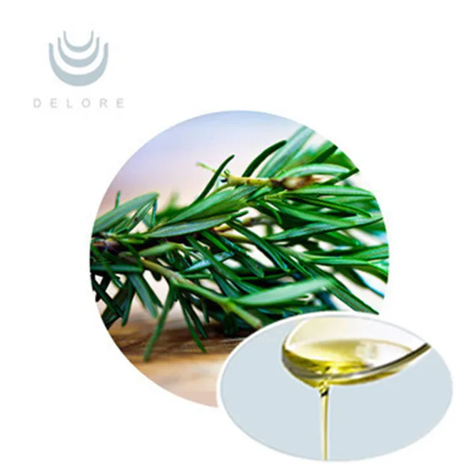 Best Selling Products Hplc Rosemary Leaf Extract 100 Pure Food Grade