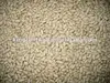 new crop white kidney dried beans