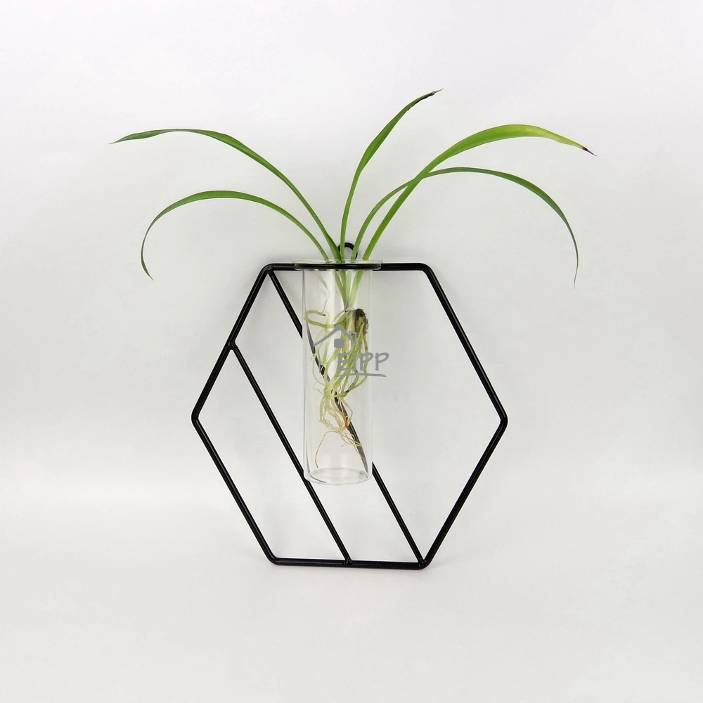 Hexagon Metal Frame Hydroponic Test Tubes Hanging Vases Glass Tube