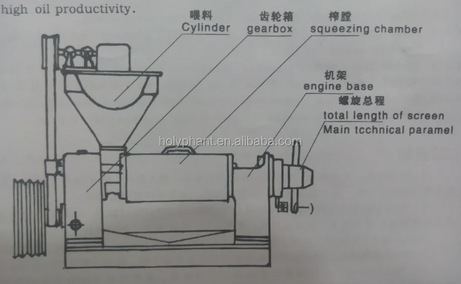 6yl 95azx 10 Mustard Seed Palm Kernel Oil Press Extraction Machine