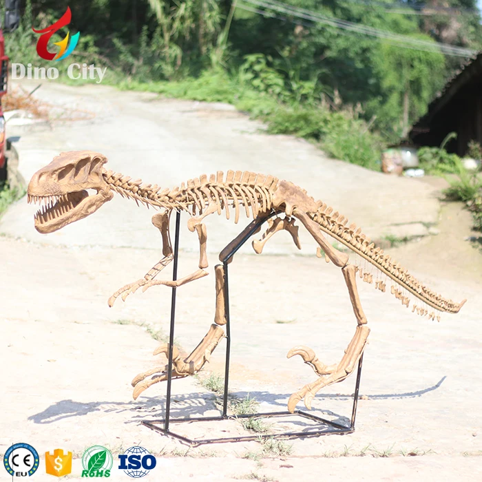 Fossils Life Size Dinosaur Skeleton Artificial Dinosaur Dino City