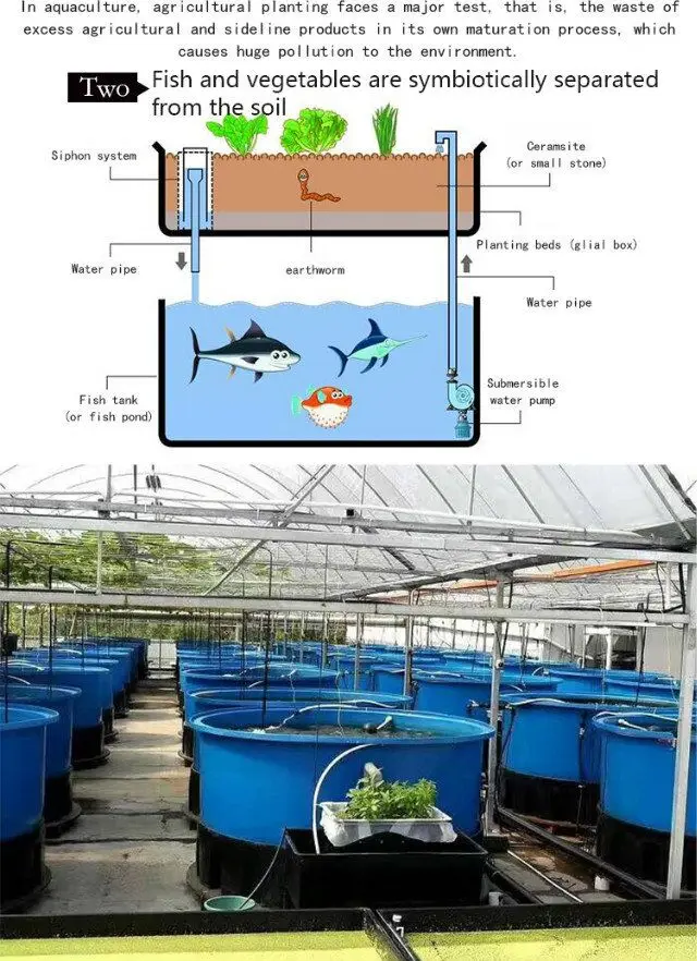 aquaponics 3.jpg