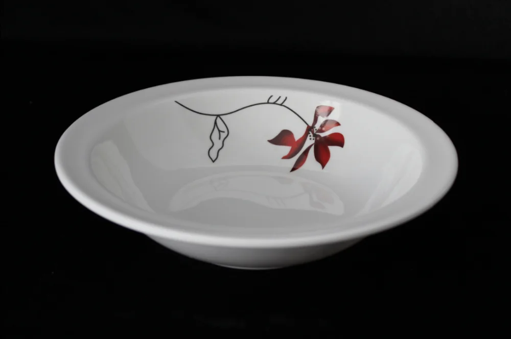 100%melamine plate