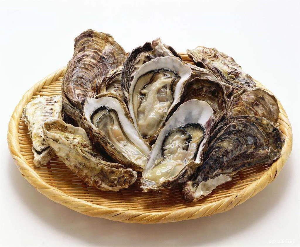 natural healthy food oyster shell extract powder/ oyster extract