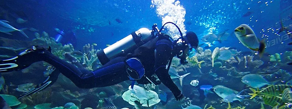 diving equipment.jpg