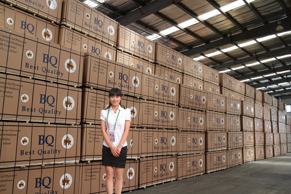 Best Price 3mm/5mm/6mm Okoume Bintangor film Poplar core Commercial Plywood for Furniture
