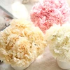 Silk Hydrangea 6 head Simulation Carnation Artificial flower arrangement