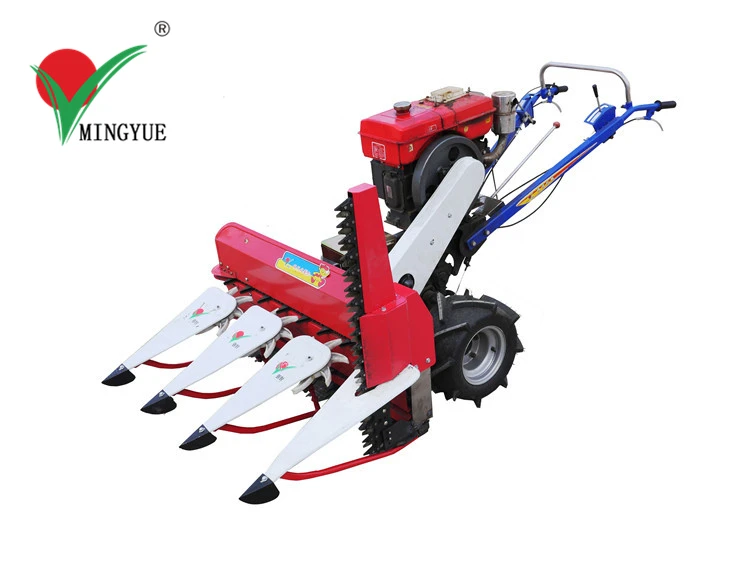 Small Grass Cutting Machine Grass Paddy Rice Cutter Raper For Cattle